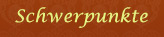 Schwerpunkte