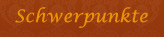 Schwerpunkte